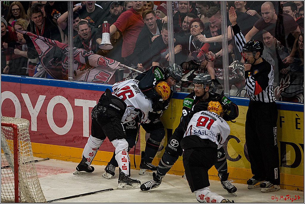 DEL, Koelner Haie - Fishtown Pinguins Bremerhaven, 29.01.2017
